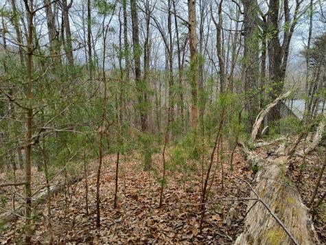 M99 Sleepy Hollow Road Ellijay GA 30536