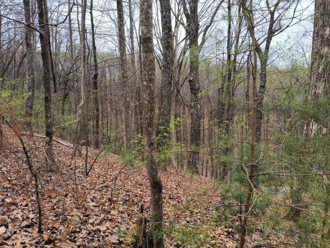 M99 Sleepy Hollow Road Ellijay GA 30536