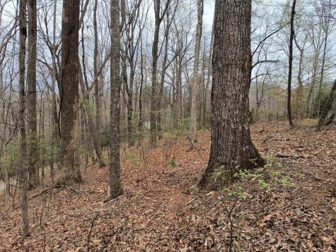 M99 Sleepy Hollow Road Ellijay GA 30536