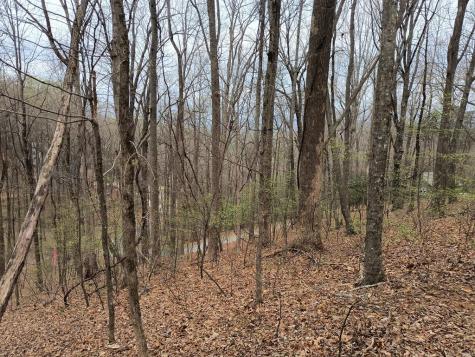 M99 Sleepy Hollow Road Ellijay GA 30536