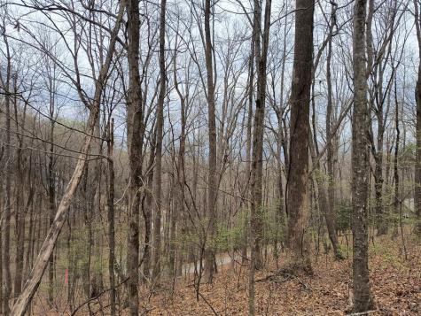 M99 Sleepy Hollow Road Ellijay GA 30536