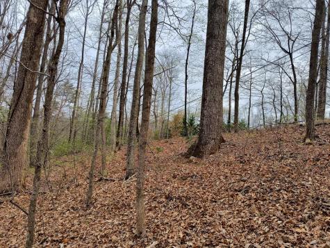 M99 Sleepy Hollow Road Ellijay GA 30536