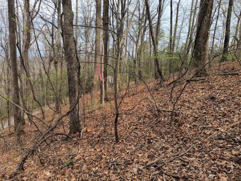 M99 Sleepy Hollow Road Ellijay GA 30536