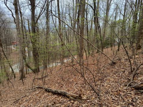 M99 Sleepy Hollow Road Ellijay GA 30536