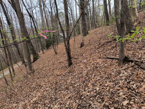 M99 Sleepy Hollow Road Ellijay GA 30536