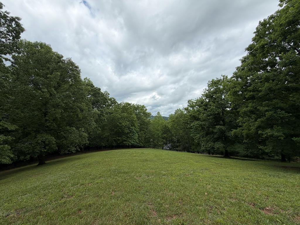 Lot 17 Drake Ridge Lane Hayesville NC 28904
