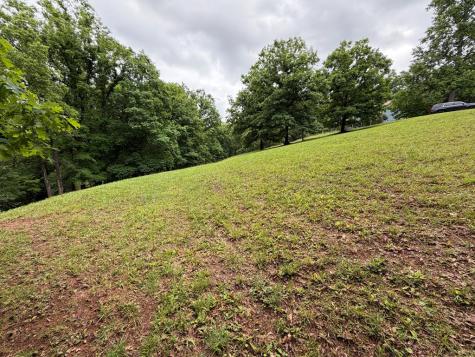 Lot 17 Drake Ridge Lane Hayesville NC 28904
