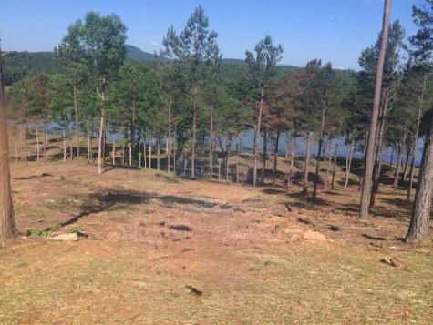 Lot 205 The Cove @ 1300 Blairsville GA 30512