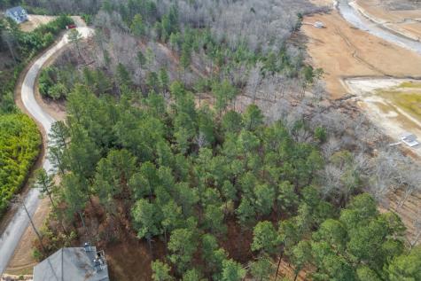 Lot 205 The Cove @ 1300 Blairsville GA 30512