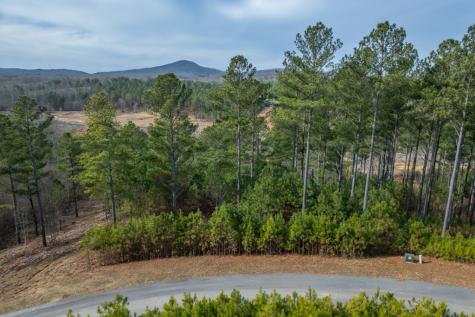 Lot 205 The Cove @ 1300 Blairsville GA 30512