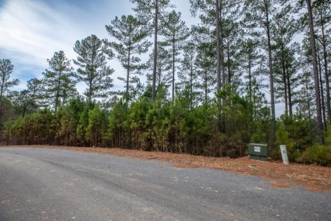 Lot 205 The Cove @ 1300 Blairsville GA 30512