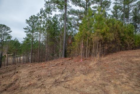 Lot 205 The Cove @ 1300 Blairsville GA 30512