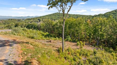 Lot 169 Gray Bluff Trail Talking Rock GA 30175