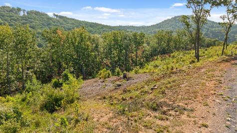 Lot 169 Gray Bluff Trail Talking Rock GA 30175
