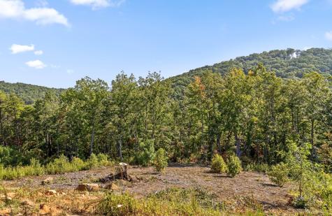 Lot 169 Gray Bluff Trail Talking Rock GA 30175
