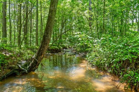 Lot 169 Gray Bluff Trail Talking Rock GA 30175