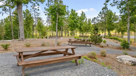 Lot 169 Gray Bluff Trail Talking Rock GA 30175