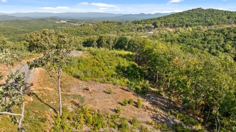 Lot 169 Gray Bluff Trail Talking Rock GA 30175