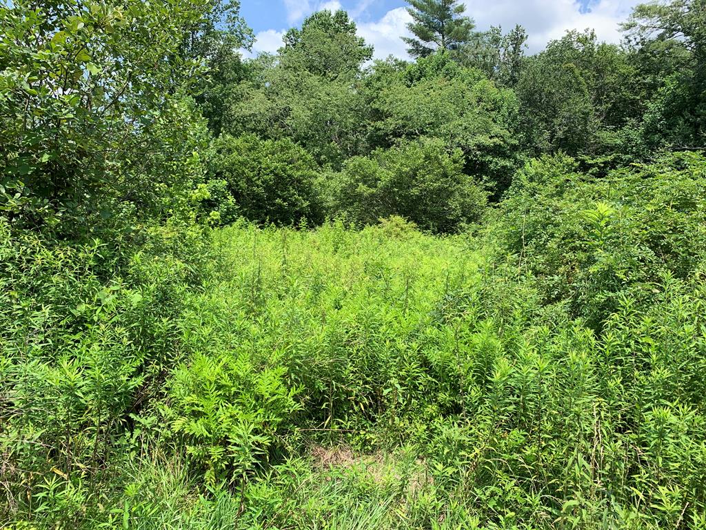 Tbd Greasy Creek Road Murphy NC 28906
