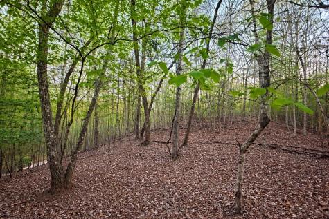 Lot 5 Riverbend Manor Blue Ridge GA 30513