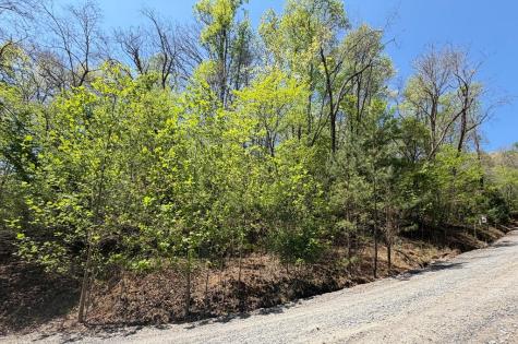 Lot 5 Riverbend Manor Blue Ridge GA 30513