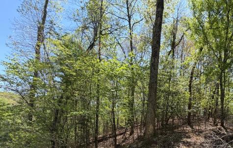 Lot 5 Riverbend Manor Blue Ridge GA 30513