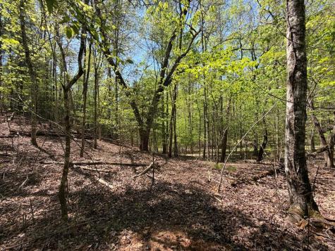 Lot 5 Riverbend Manor Blue Ridge GA 30513