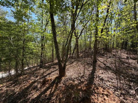 Lot 5 Riverbend Manor Blue Ridge GA 30513