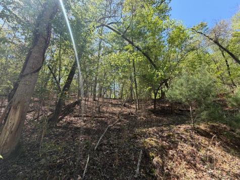 Lot 5 Riverbend Manor Blue Ridge GA 30513