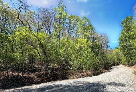 Lot 5 Riverbend Manor Blue Ridge GA 30513