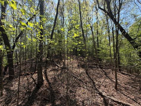 Lot 5 Riverbend Manor Blue Ridge GA 30513
