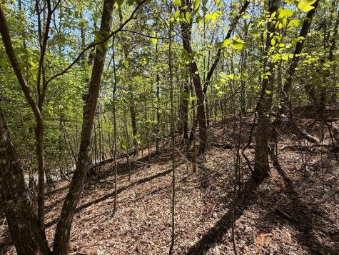 Lot 5 Riverbend Manor Blue Ridge GA 30513