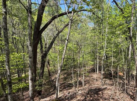 Lot 5 Riverbend Manor Blue Ridge GA 30513