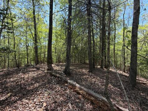 Lot 5 Riverbend Manor Blue Ridge GA 30513