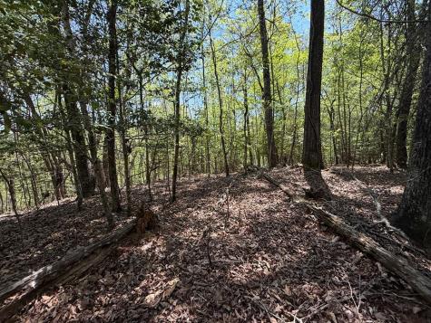 Lot 5 Riverbend Manor Blue Ridge GA 30513