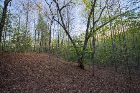 Lot 5 Riverbend Manor Blue Ridge GA 30513