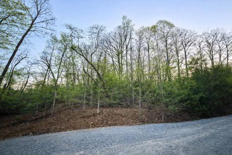 Lot 5 Riverbend Manor Blue Ridge GA 30513