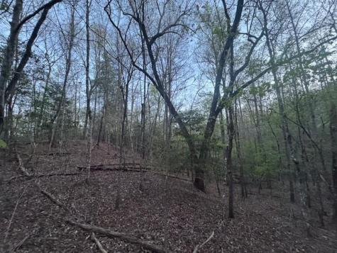 Lot 5 Riverbend Manor Blue Ridge GA 30513