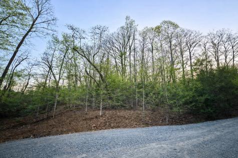 Lot 5 Riverbend Manor Blue Ridge GA 30513
