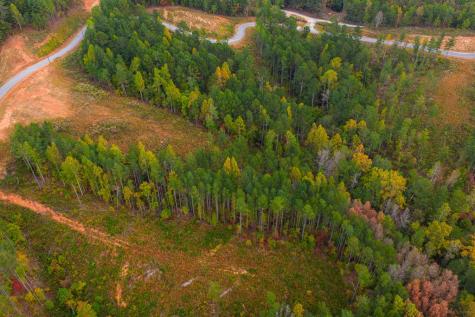 Lot 224 West Vista Ridge Parkway Talking Rock GA 30175