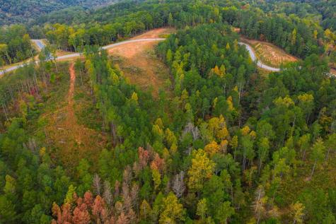 Lot 224 West Vista Ridge Parkway Talking Rock GA 30175