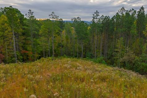 Lot 224 West Vista Ridge Parkway Talking Rock GA 30175
