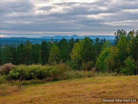 Lot 224 West Vista Ridge Parkway Talking Rock GA 30175