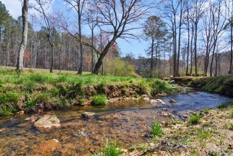 Lot 224 West Vista Ridge Parkway Talking Rock GA 30175