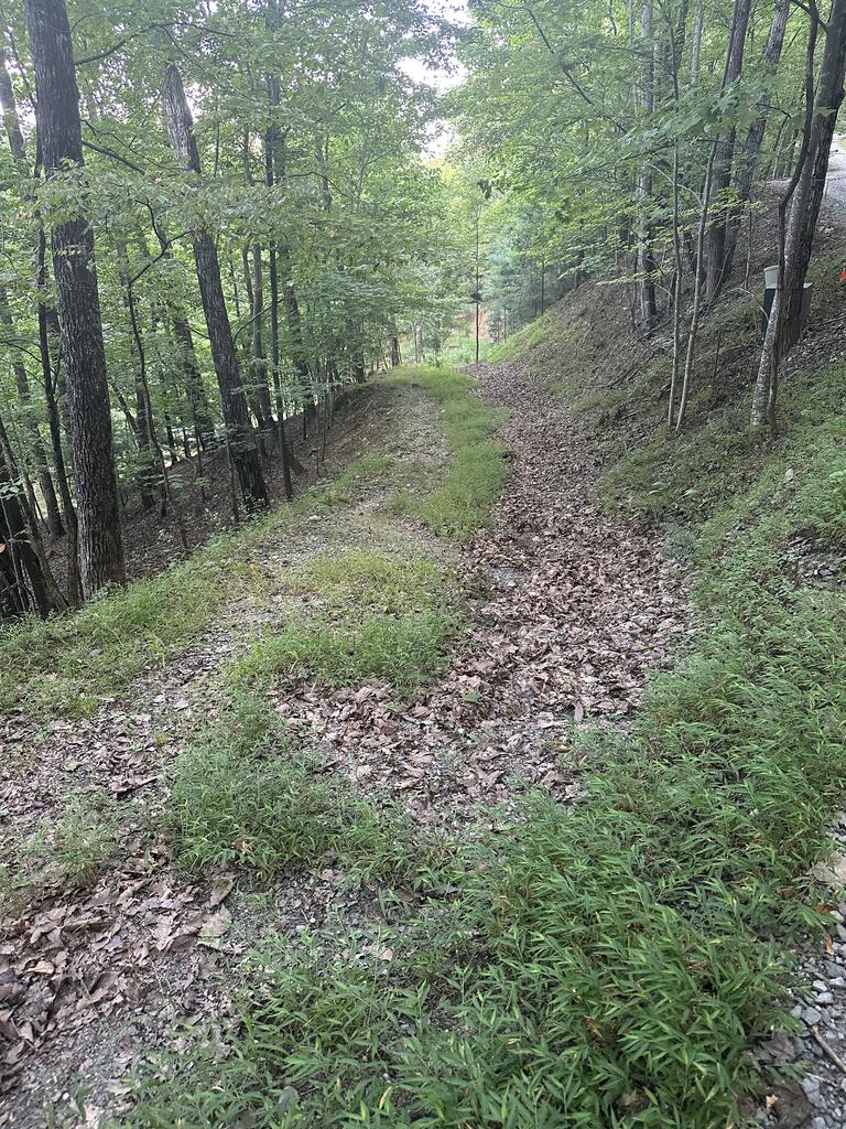 335 Deer Run Lane Morganton GA 30560