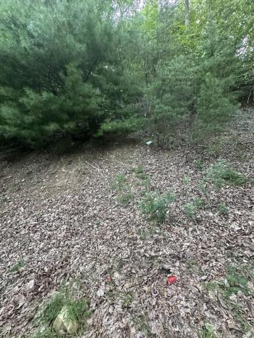 335 Deer Run Lane Morganton GA 30560