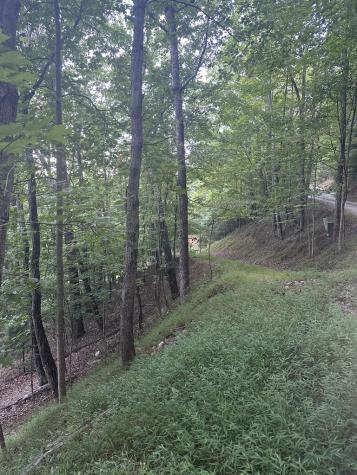 335 Deer Run Lane Morganton GA 30560