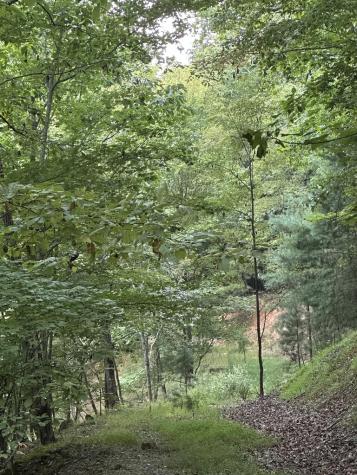 335 Deer Run Lane Morganton GA 30560