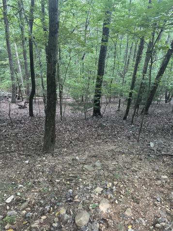 335 Deer Run Lane Morganton GA 30560