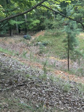 335 Deer Run Lane Morganton GA 30560